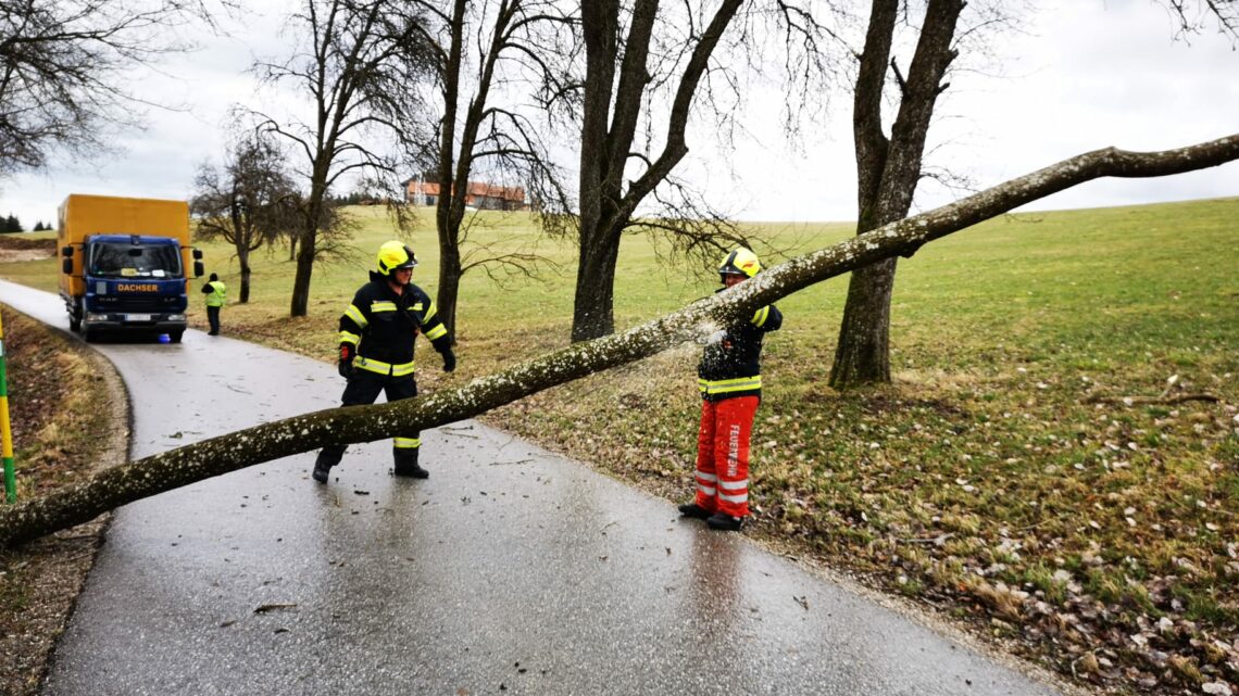 Sturmeinsatz